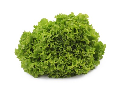 Салат романо 1 кг - купить в Балтике